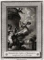 Perdix, der Neffe von Daedalus, verwandelt in ein Rebhuhn, 1774
