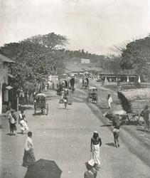 Straßenszene in der Nähe des Rathauses, Colombo, Ceylon, 1895