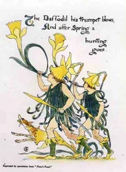 Narzissen-Trompetenstoß, aus 