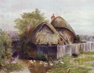 Der New Forest: Ein Cottage in Bartley