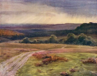 Der New Forest: Boldrewood Walk, Puck Pitts, von der Fritham Straße