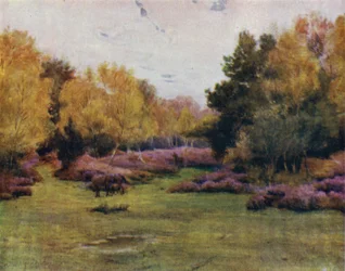 Der New Forest: Rushpole Wood, Lyndhurst