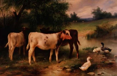 Ein schattiges Plätzchen