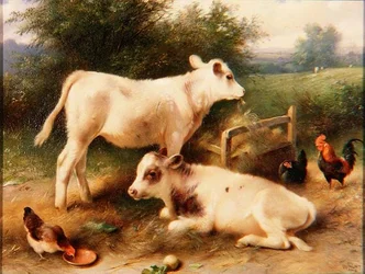 Fütterungszeit