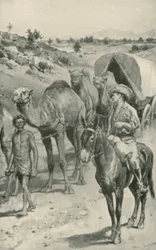 Eine Kamelkarawane, Westaustralien