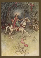 Tafel 24: "Ein helles Licht, wie das des Mondes, war auf seiner Stirn zu sehen" aus 