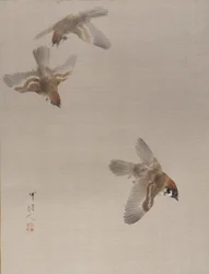 Spatzen im Flug, ca. 1887