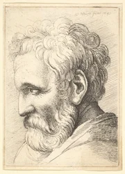 Bärtiger alter Mann, 1645