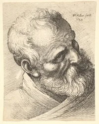 Bärtiger alter Mann mit geneigtem Kopf, 1645