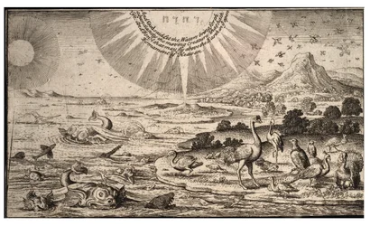 Schöpfung der Vögel und Fische (Zustand 1)