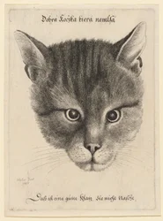 Kopf einer Katze (mittlere Größe)