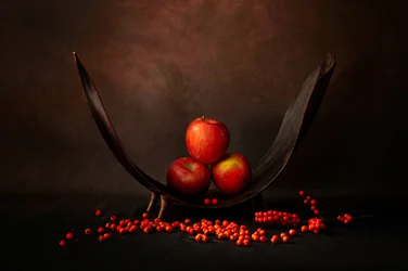Herbstlicher Apfelschale