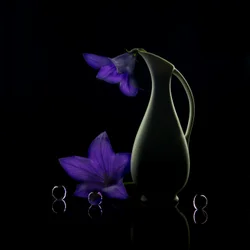 Lila Blumen Dunkle Eleganz