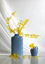 Gelbe Blüten in Blauen Vasen
