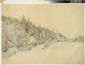 Landschaft