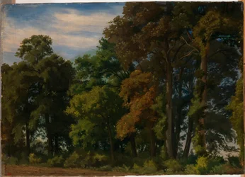 Landschaft in Deutschland, Studie
