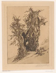 Hohle Baum bei Seelisberg in der Schweiz