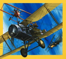 Flugzeuge aus der Vergangenheit: Der Bristol F2B Jäger