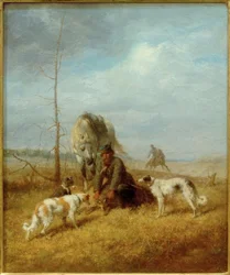 Wolfsjagd im Sommer