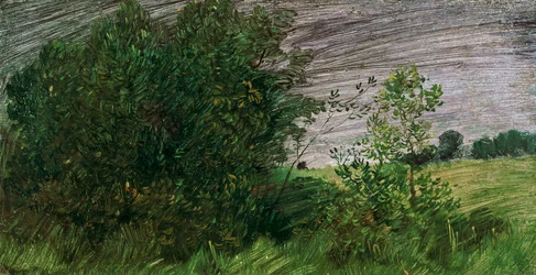 Landschaft