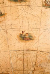 Detail eines Seeungeheuers von einem terrestrischen Globus, 1645/48