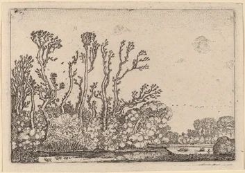 Schafherde in der Nähe von Den Haag