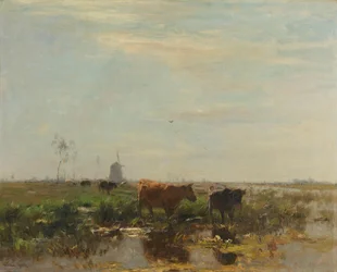 Wiese mit Kühen am Wasser