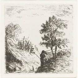 Hügellandschaft mit zwei Bäumen auf Felsen