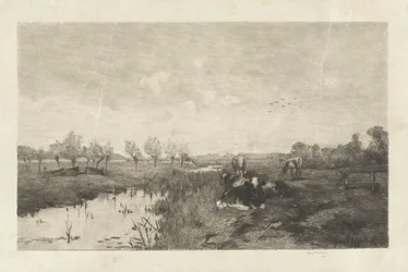 Polderlandschaft mit Kühen