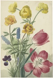 Blumenstrauß aus Tulpen, Veilchen, Traubenhyazinthen und Dotterblumen