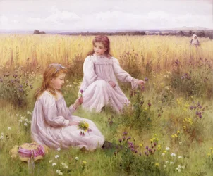 Wiesenblumen