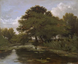 Auf der Isis, Waterperry, Oxfordshire
