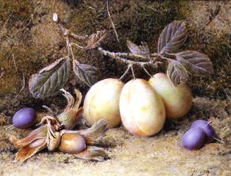 Stillleben mit Pflaumen und Nüssen