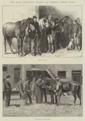 Das Royal Veterinary College und Hospital, Camden Town