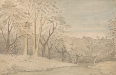Eine bewaldete Landschaft