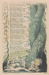Lieder der Unschuld und Erfahrung, Tafel 22, Das kleine Mädchen gefunden (Bentley 36)