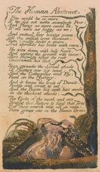 Lieder der Unschuld und Erfahrung, Tafel 46, Der menschliche Abstrakt (Bentley 47)