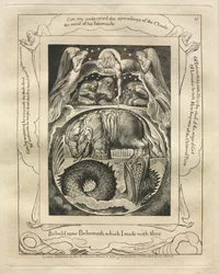 Das Buch Hiob: Pl. 15, Siehe nun Behemoth, den ich mit dir gemacht habe, 1825