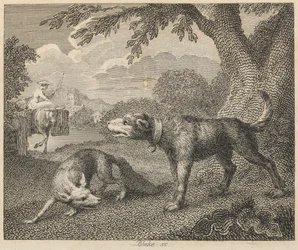 Der Hund und der Fuchs