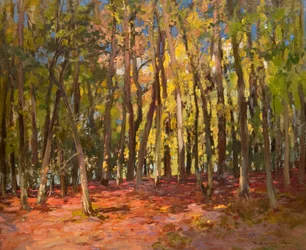 Der Hexenwald
