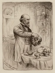 William Turner, Professor der Anatomie