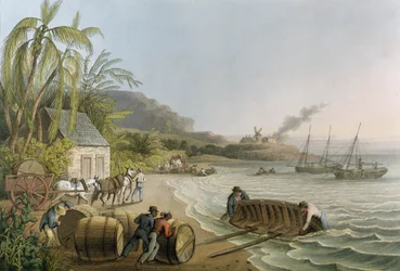 Transport und Verladung von Zuckerfässern, Tafel X aus „Zehn Ansichten von der Insel Antigua“, veröffentlicht von W. Clark, London, 1823