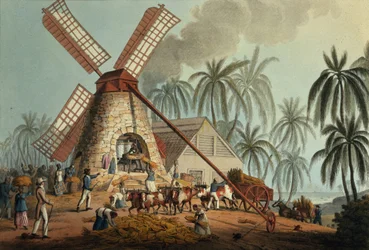 Der Brecher presst Saft aus dem Zuckerrohr, Antigua