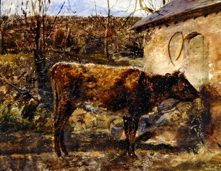 Ein Kalb