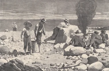 Skizzen am Meer - Ein Clam-Bake Harper