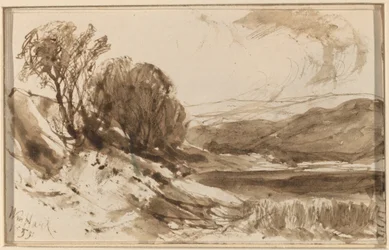Hügelige Landschaft mit Bäumen