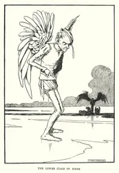 Die untere Klasse der Vögel