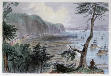 Holzablagerung in der Nähe von Quebec - in „Canadian scenery illustrated“ von Bartlett W. H.