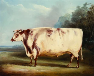 Ein Preisbulle, 1839