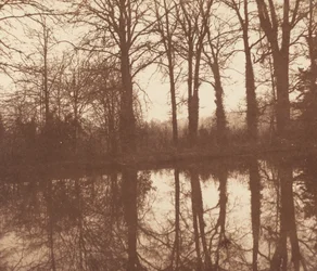 Winterbäume, reflektiert in einem Teich